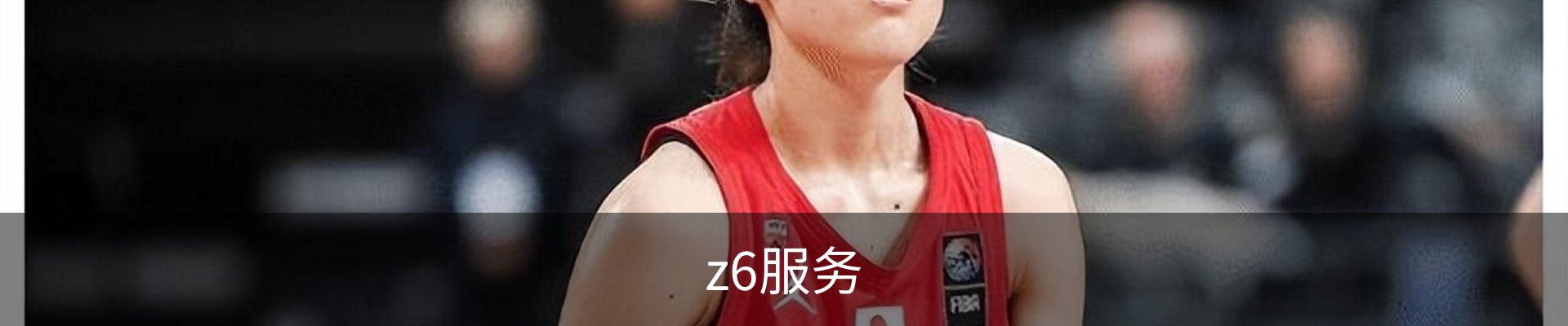 z6服务