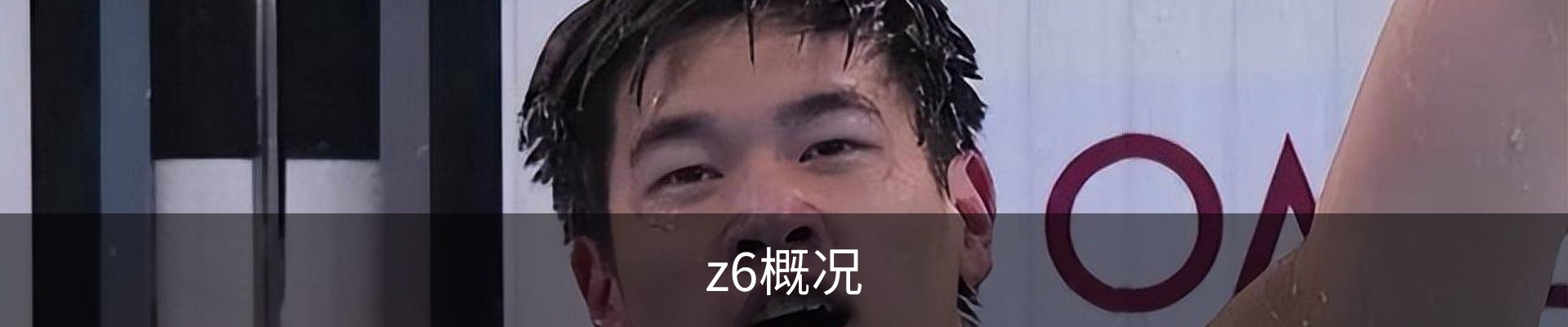 z6概况