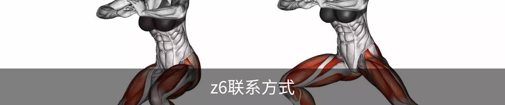 z6联系方式