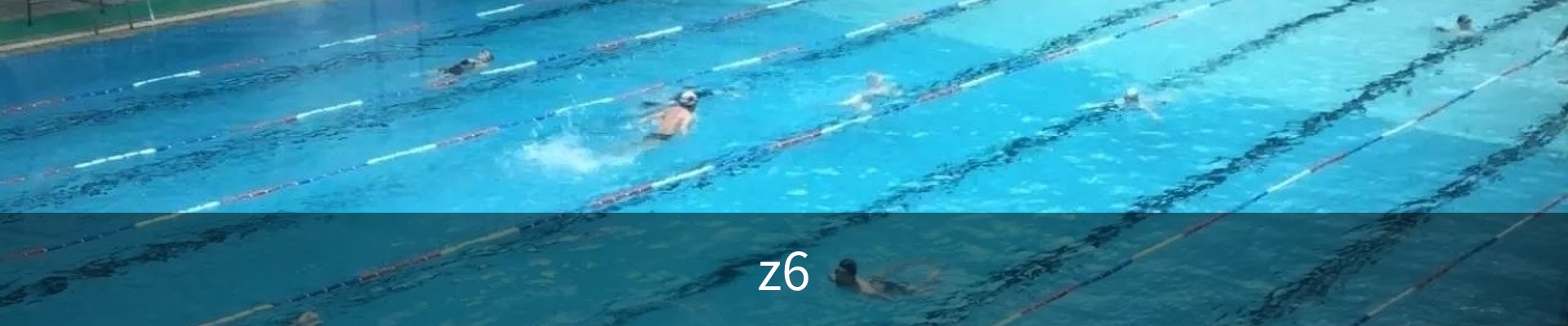 z6